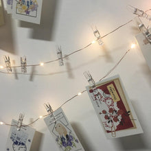 Load image into Gallery viewer, Amigos - LED Clip String Lights