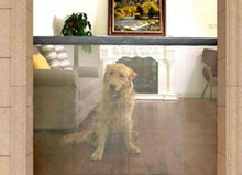 Load image into Gallery viewer, FALSE