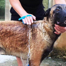 Load image into Gallery viewer, BrushClean - Shampoo Lather Glove Pet Bath Hose
