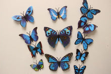 Load image into Gallery viewer, Butterfly 3D Wall Stickers - 12 Pieces
