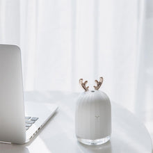 Load image into Gallery viewer, Aroma Essential Oil Diffuser

